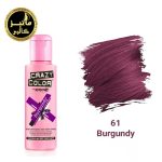 رنگ فانتزی کریزی کالر crazy color شماره 61