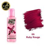 رنگ فانتزی کریزی کالر crazy color شماره 66